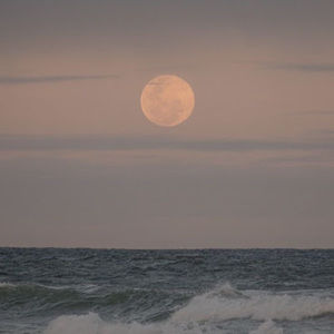 Meet your Posher, Kori